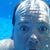 David Gardiner's profile image