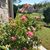 Melinda Graham Argentieri's profile image
