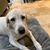 Lisa Mazziotti's profile image
