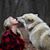 Kim Molesky Arbour's profile image