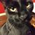 Kendra Hayes's profile image