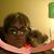 Mary Webb's profile image