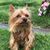 Viviana Fuerte's profile image