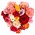 Barbara Porto Schmid's profile image