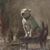 Page Turner's profile image