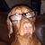Barbara Klug's profile image