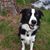 Bain Foster's profile image