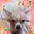 Magali Santana's profile image