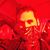 Colin Ortis's profile image