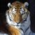 Kristi King's profile image
