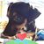 Cindy Mawhinney's profile image