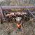 Noah Ellingson's profile image