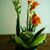 Watinae Tennison's profile image
