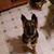 Christy Callaghan Andrews's profile image