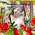 Margarita Reyes De Sejas's profile image