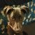 Dawn Sanders's profile image