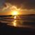 Carolyn W. Adams's profile image