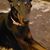 Lisa Trahan Schelper's profile image