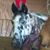 Laura Wehr's profile image