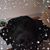 Beth Hahney's profile image