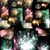 Amy Rumfield's profile image