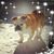Linda Craven's profile image