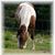 Don Waldrep's profile image