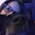 Shirel Yaacov's profile image