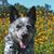 Tracy Custer's profile image