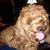 Jennifer Anderson's profile image