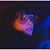 CMiller1981's profile image