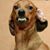 Don Courville's profile image