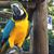 Laura Asbury Sabath's profile image