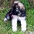 Beth Diotti's profile image