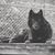 Janelle Young's profile image