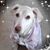 Barbara Rettig Slack's profile image