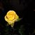 Diane Young's profile image