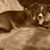 Lori Goltermann's profile image