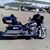 Mike Toland's profile image