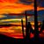 Patricia Perez Rehbock's profile image