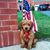Anna Worthington's profile image