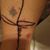 Debbie Dodd Winslow's profile image