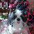Sharon Traweek's profile image