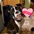 Denise Bredeson Sasek's profile image