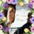Linda Stark Schmitz's profile image