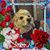 Joanne Johnson's profile image