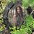 Christine McClintock Hudspeth's profile image