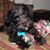 Ron Botz's profile image