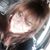 Jacqueline Miller-Todd's profile image