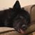 Carla Hudson Wells's profile image